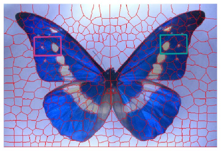 Figure from Saliency, Symmetry & Retargeting